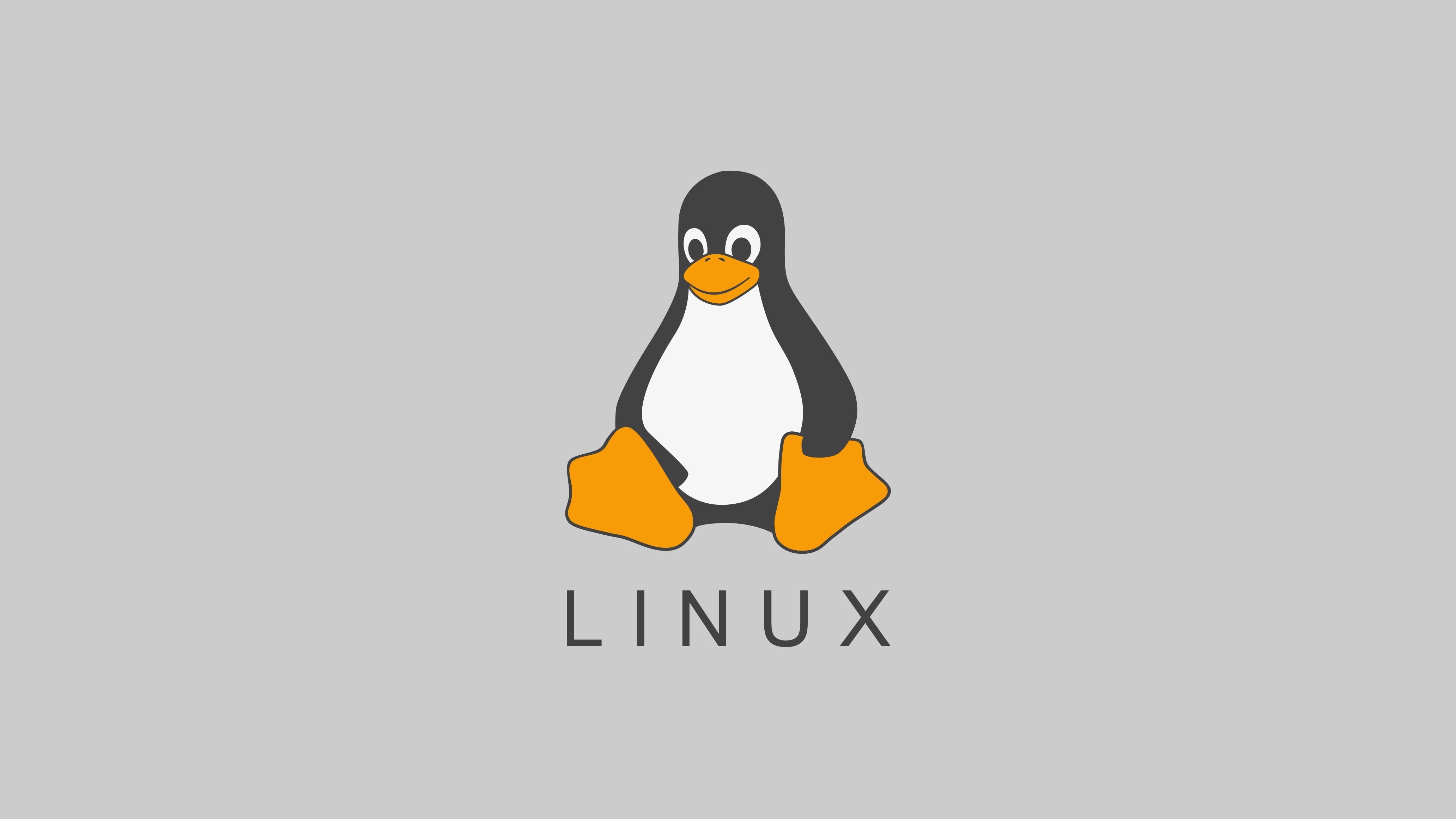 【Linux】常用操作